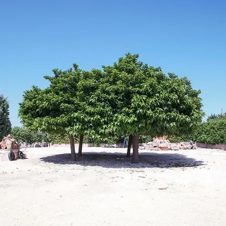 Masseria Guadiano Vecchio Holiday home