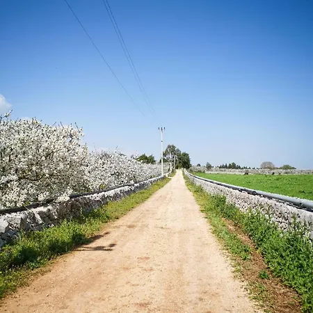 Masseria Guadiano Vecchio Holiday home