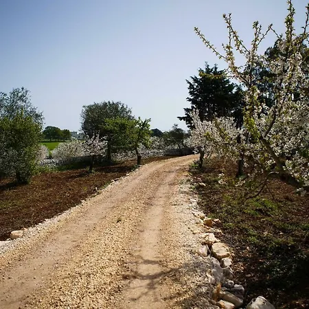 Masseria Guadiano Vecchio Holiday home