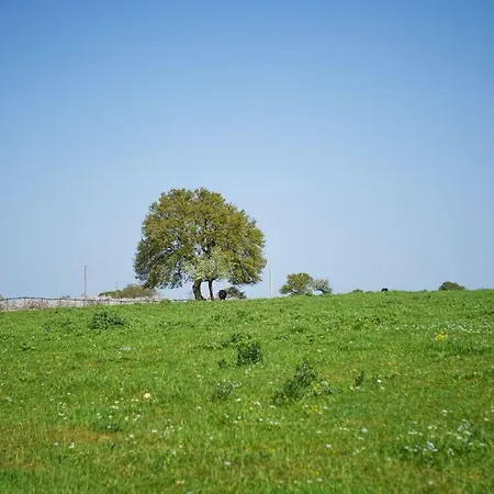Masseria Guadiano Vecchio *