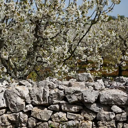 Masseria Guadiano Vecchio *