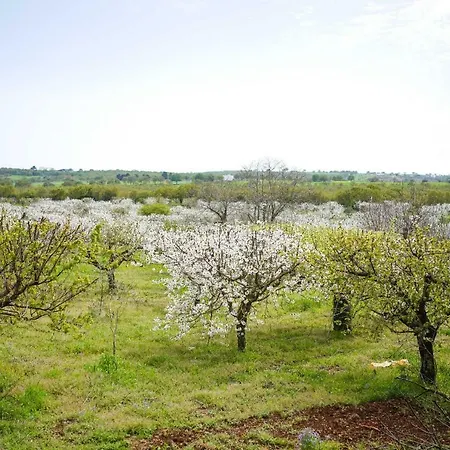 Masseria Guadiano Vecchio *