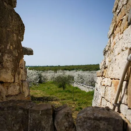 Masseria Guadiano Vecchio Holiday home *
